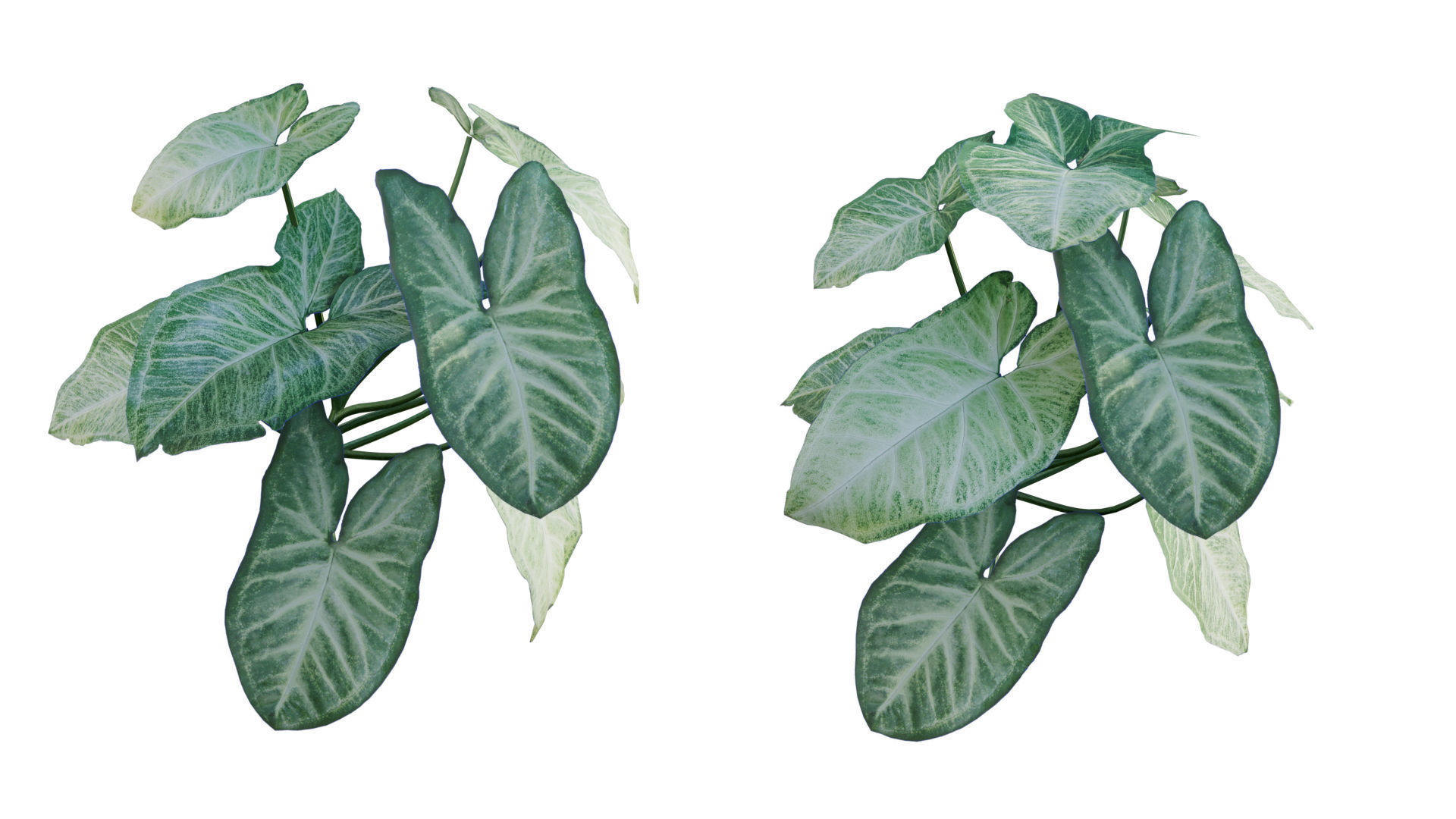 Vertical garden 24 3D model_2