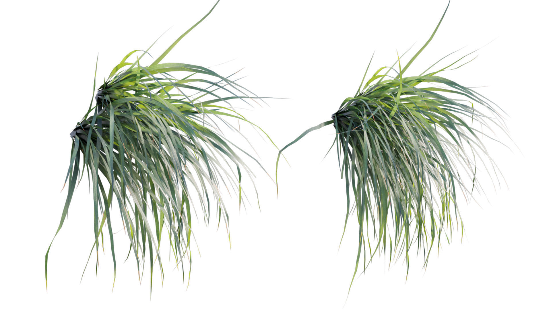 Vertical garden 24 3D model_4