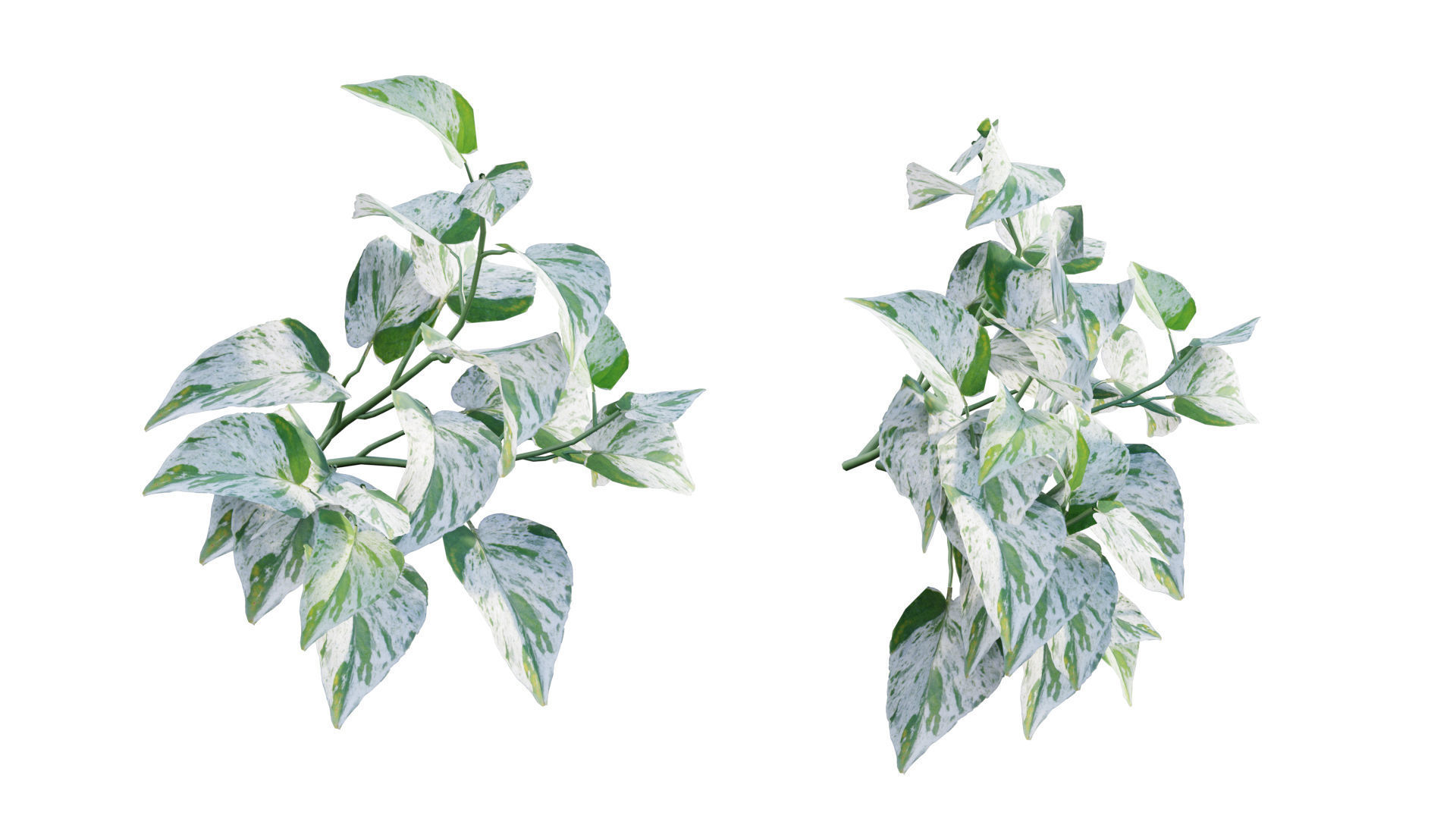 Vertical garden 24 3D model_3