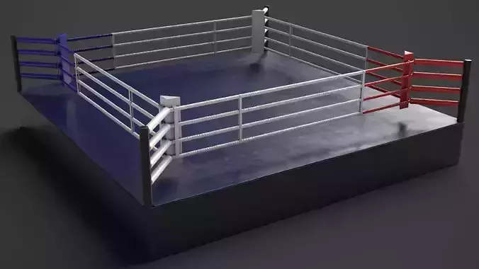 Boxing Ring 3D model