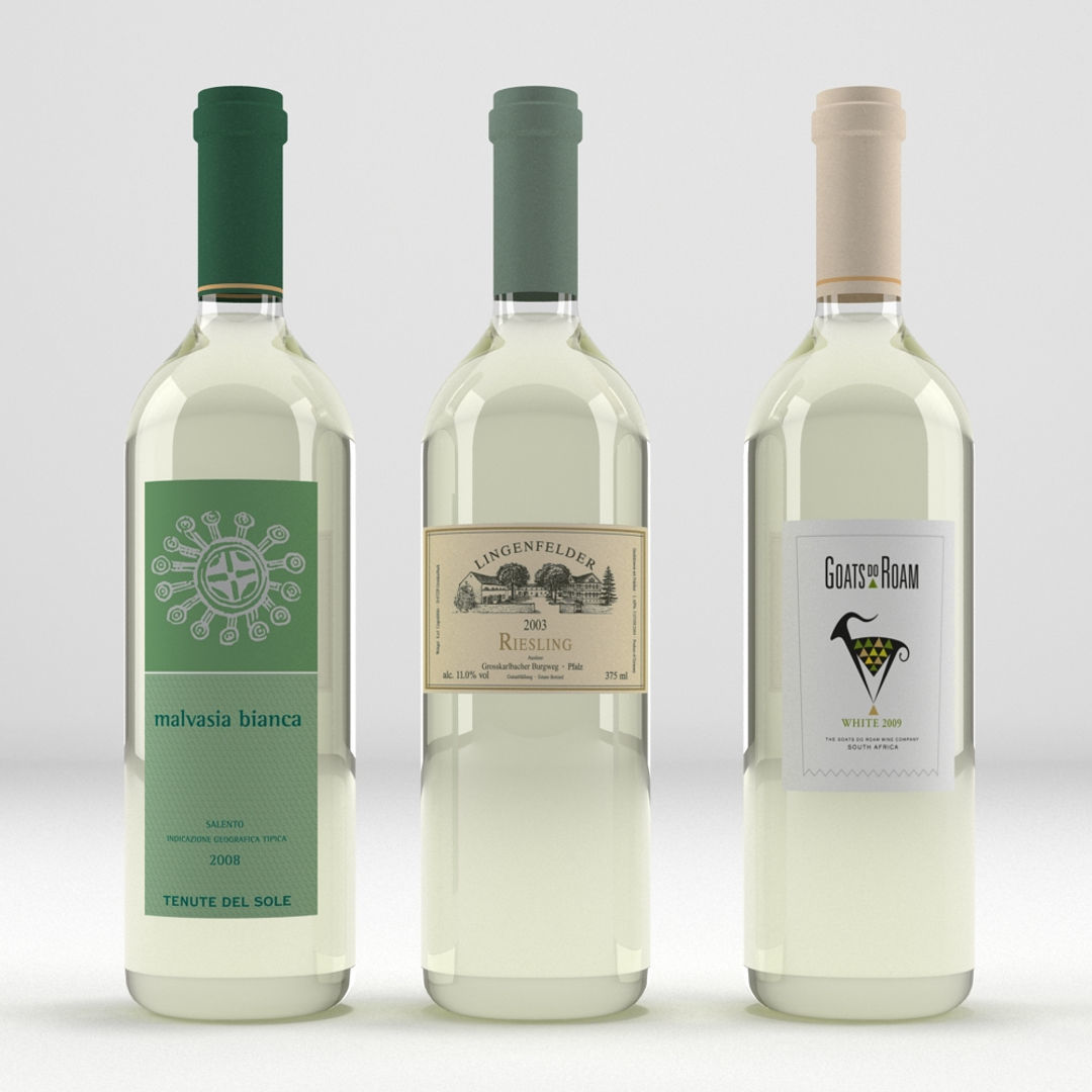 Wine Bottle Collection 3D model_7
