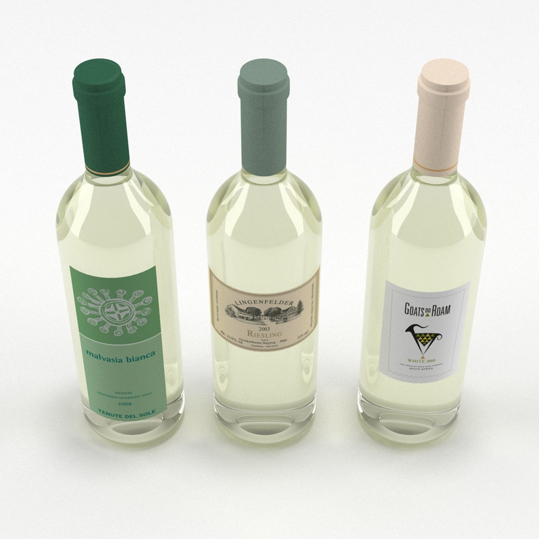 Wine Bottle Collection 3D model_4