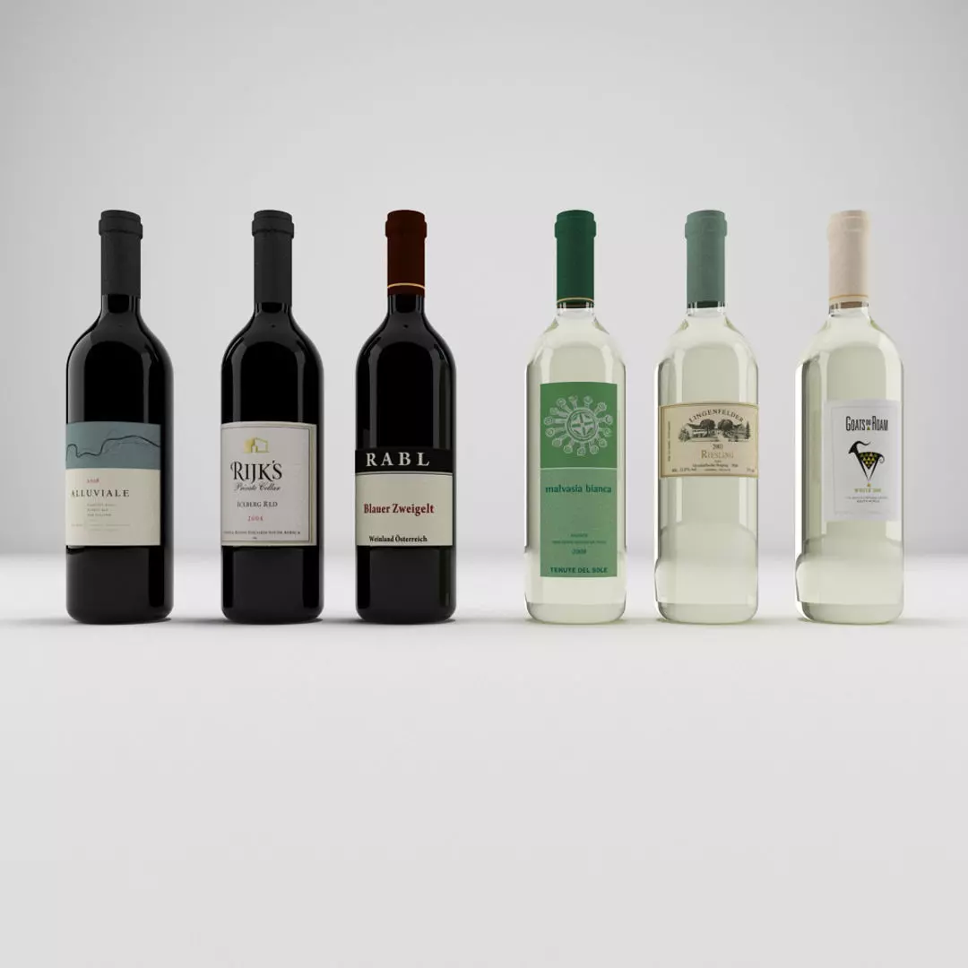Wine Bottle Collection 3D model_0