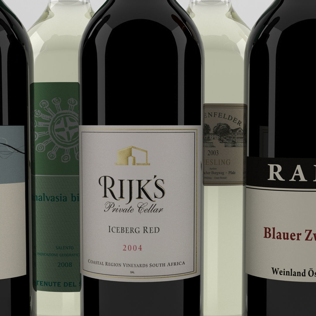 Wine Bottle Collection 3D model_8