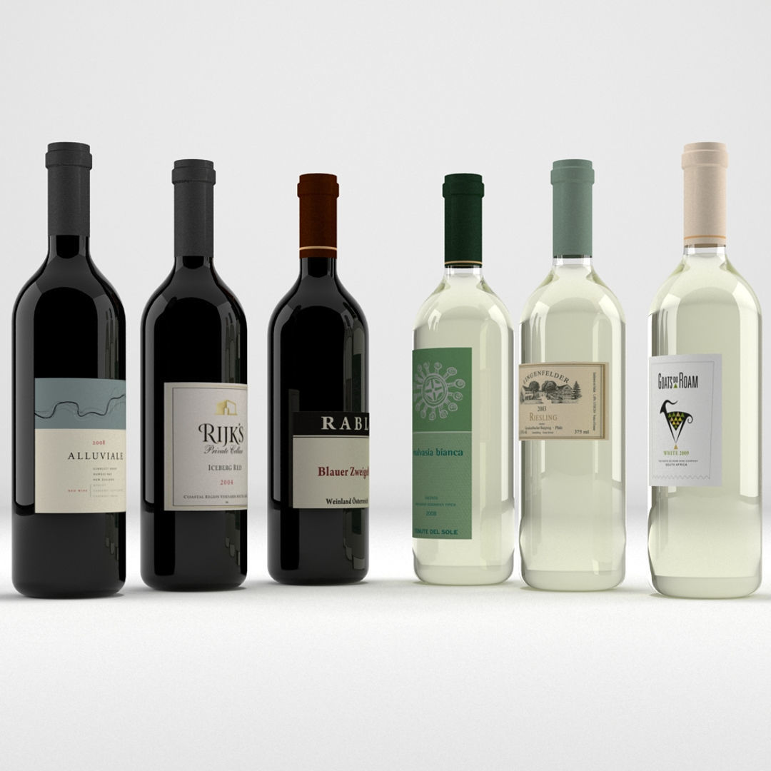 Wine Bottle Collection 3D model_2