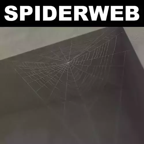 Spiderweb 3
