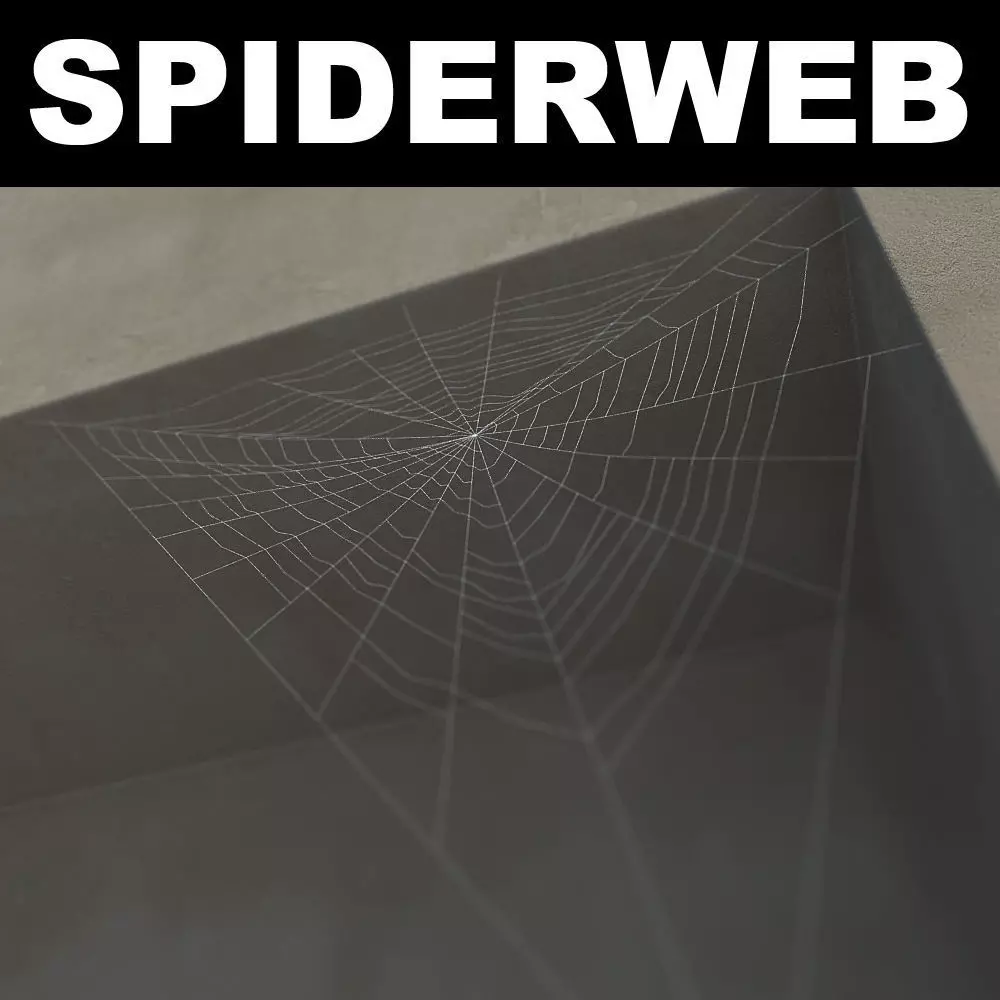 Spiderweb 3 3D model