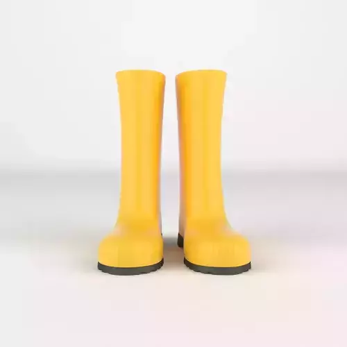 Wellington Boots