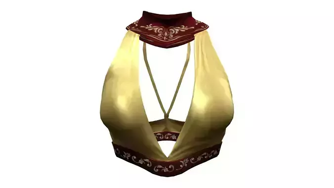 V Cut Halter Top With Neckline