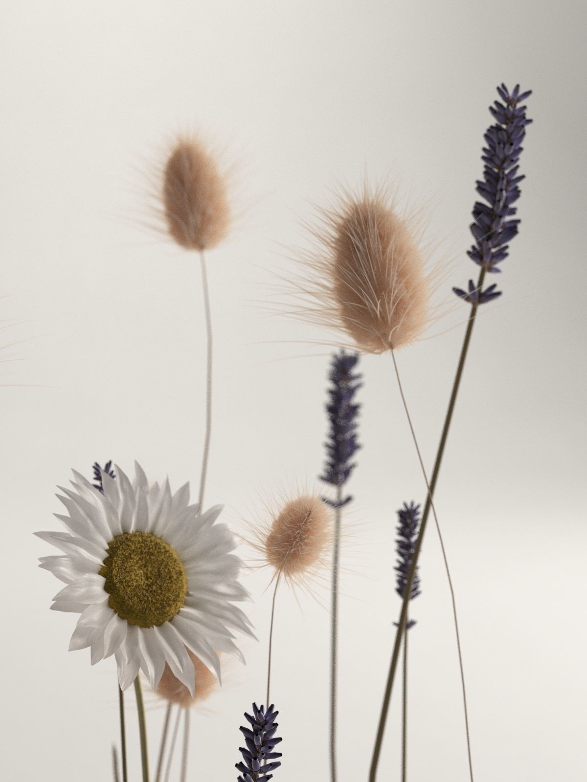 Flowers in The Clay  3D model_2