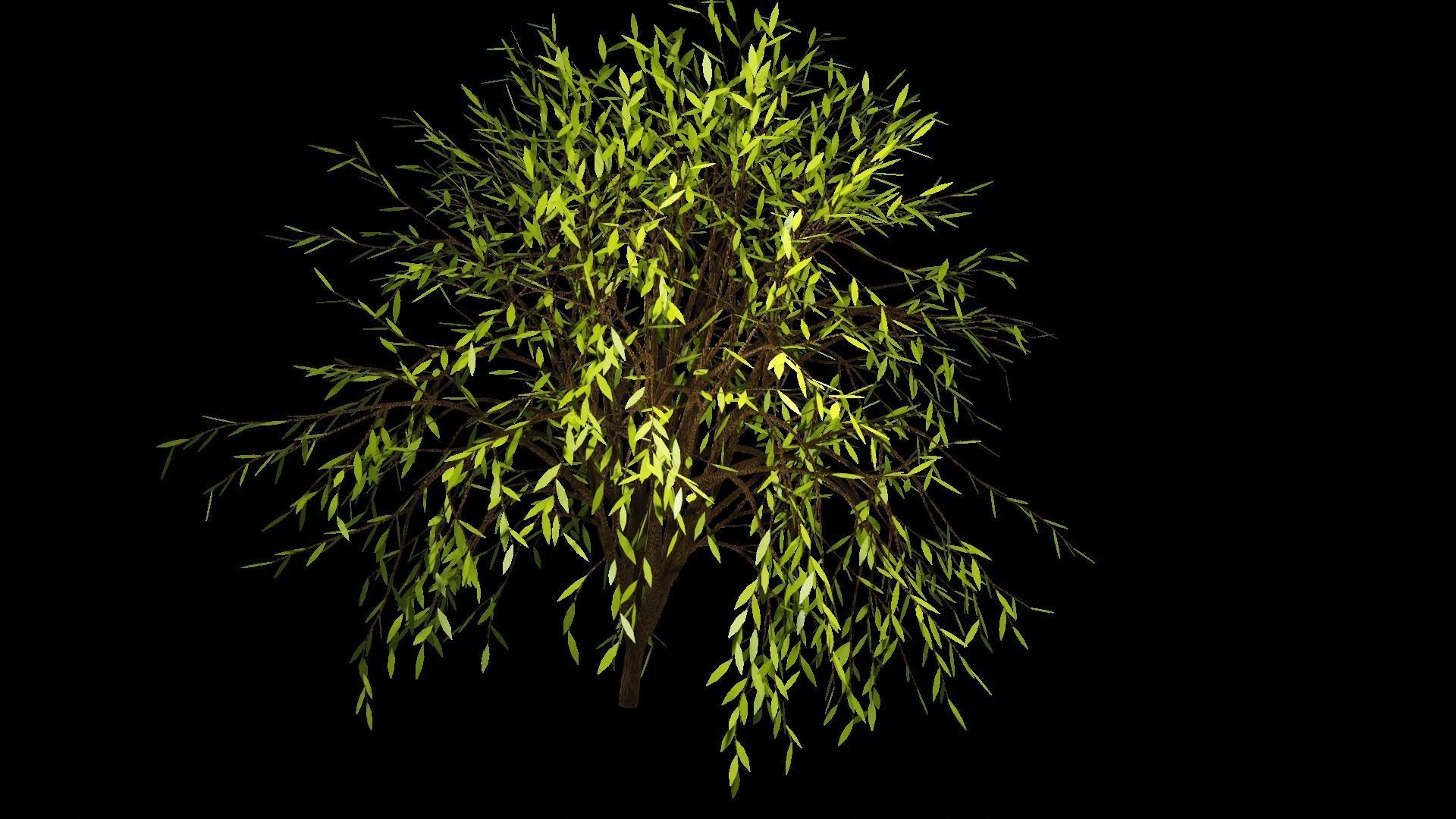 Spring or Summer Tree PBR low-poly game ready  Low-poly 3D model_4