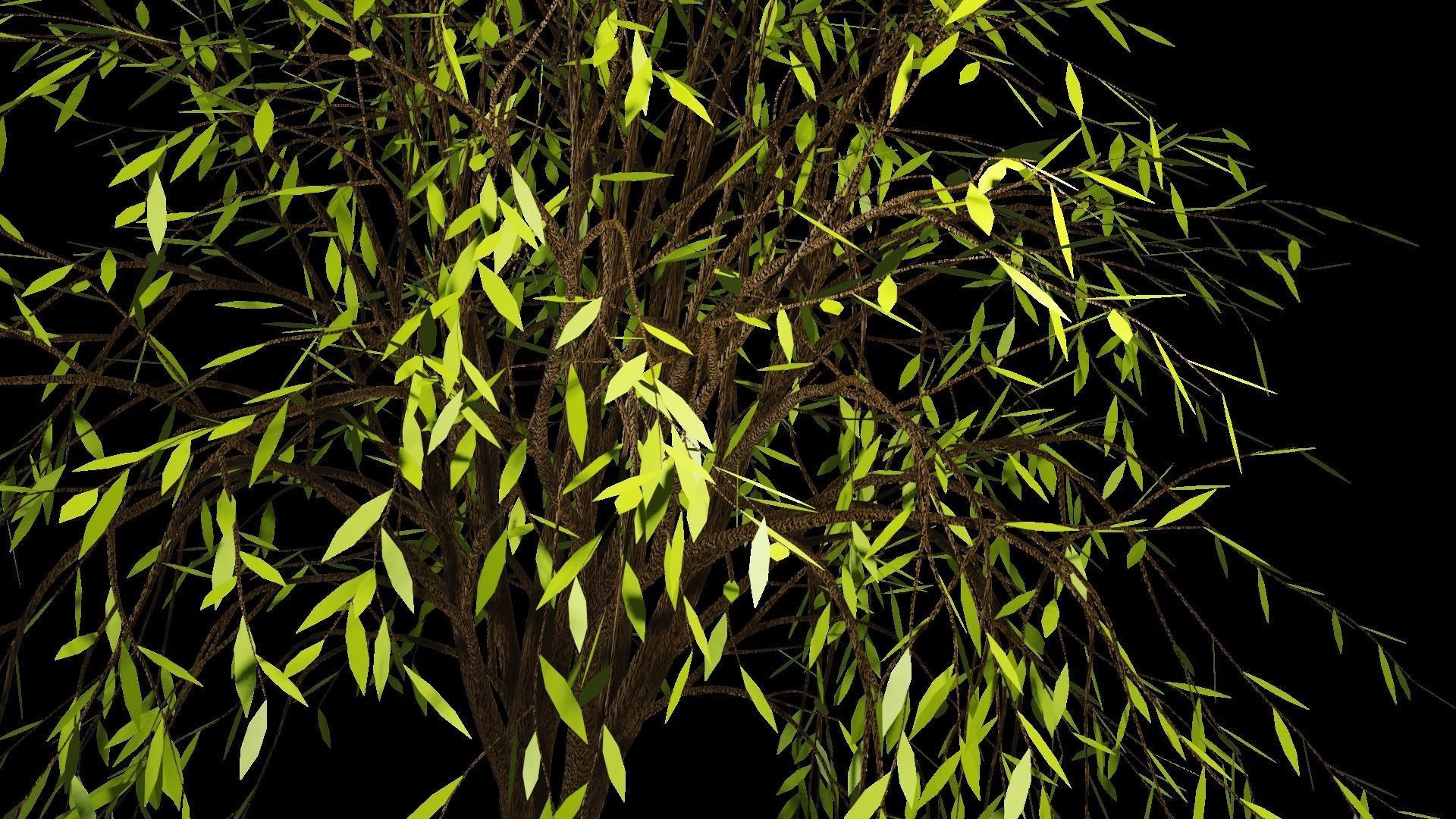 Spring or Summer Tree PBR low-poly game ready  Low-poly 3D model_5