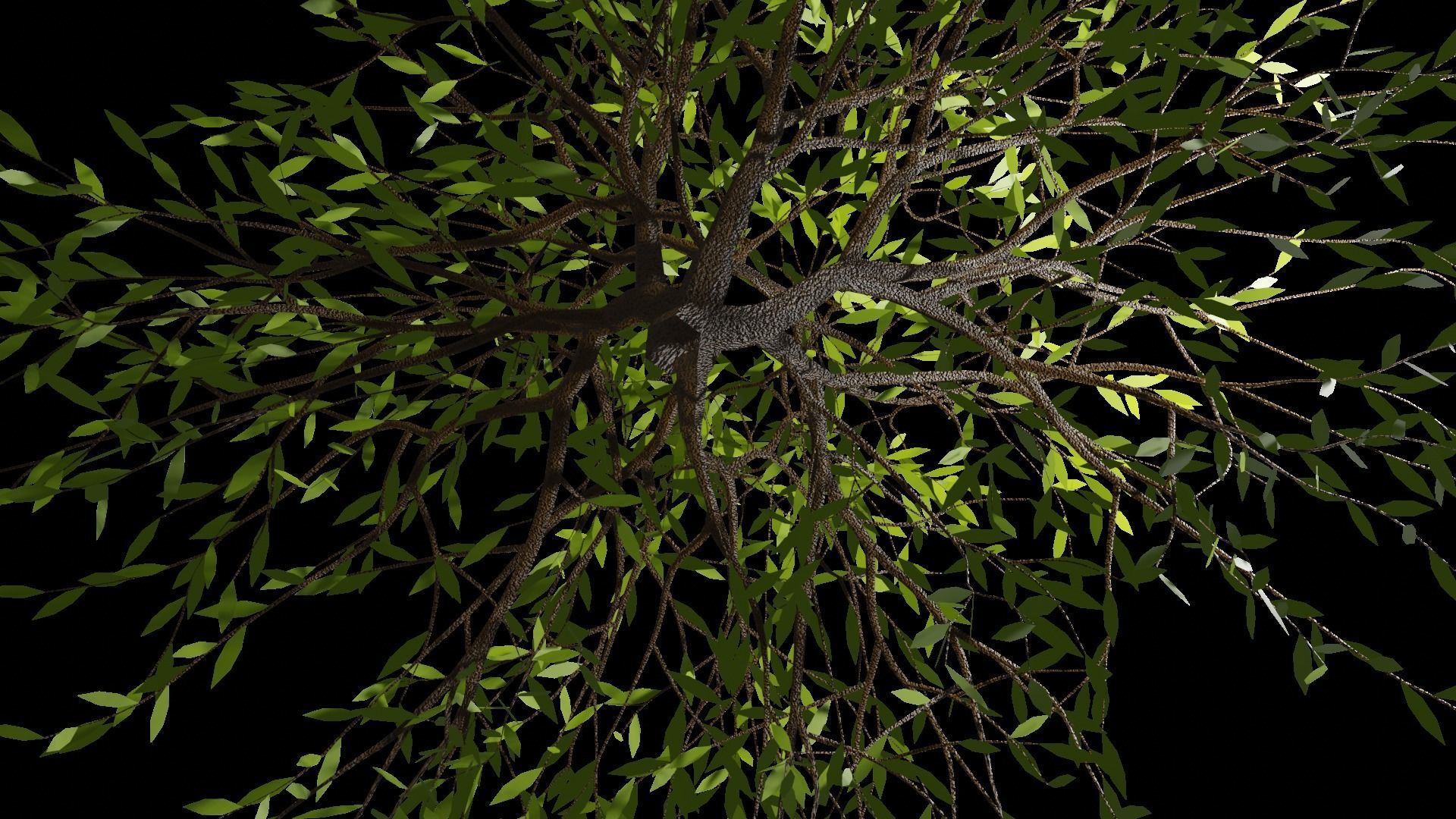 Spring or Summer Tree PBR low-poly game ready  Low-poly 3D model_6
