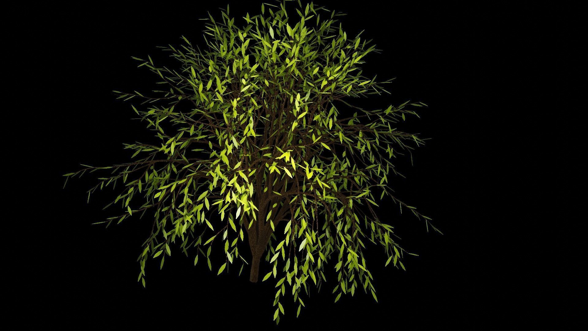 Spring or Summer Tree PBR low-poly game ready  Low-poly 3D model_1