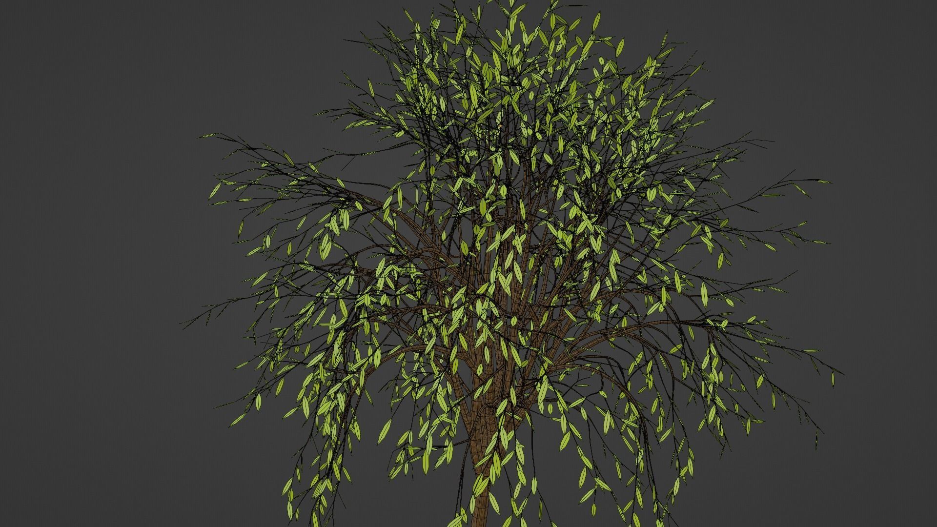 Spring or Summer Tree PBR low-poly game ready  Low-poly 3D model_14