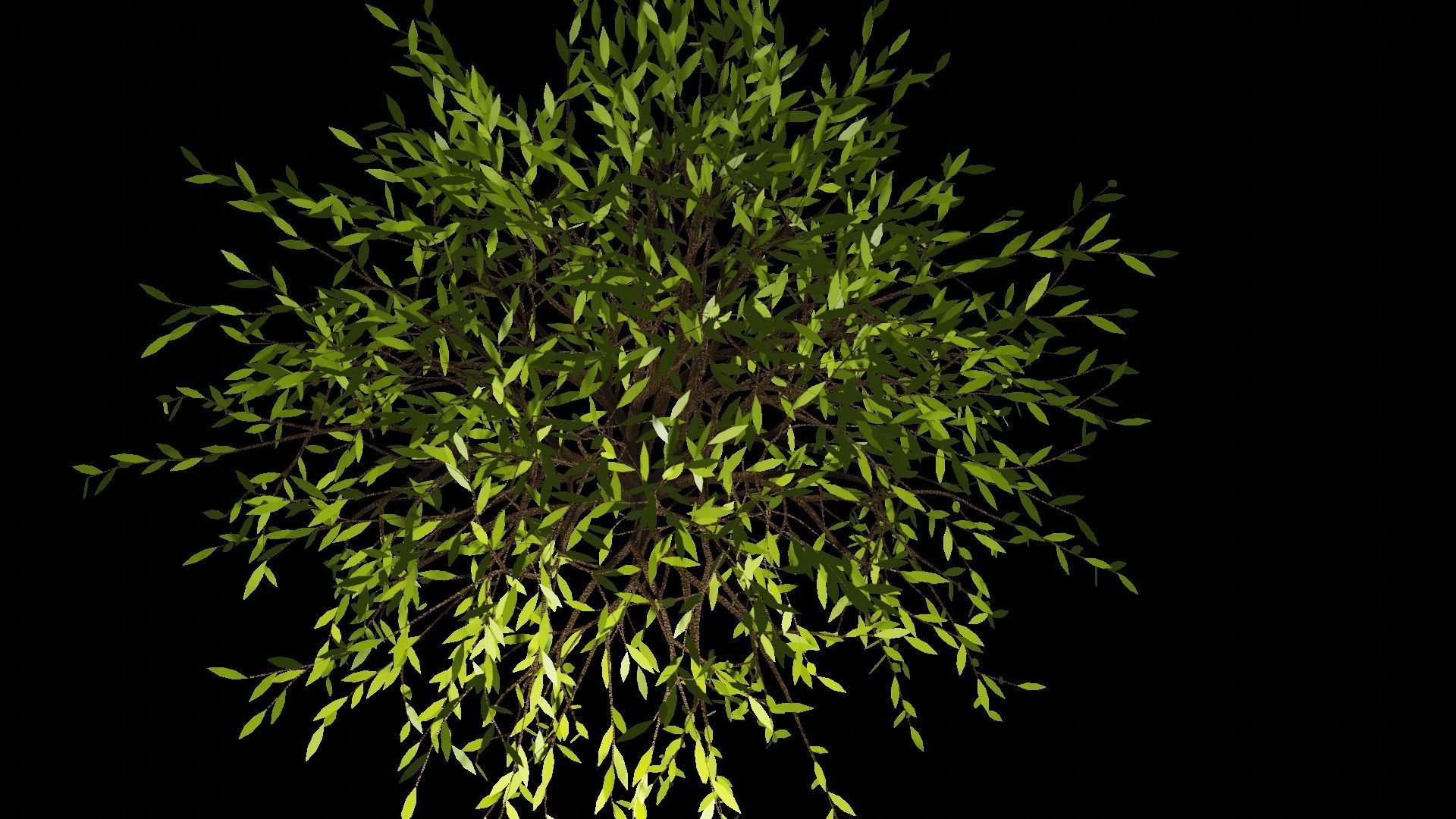 Spring or Summer Tree PBR low-poly game ready  Low-poly 3D model_2