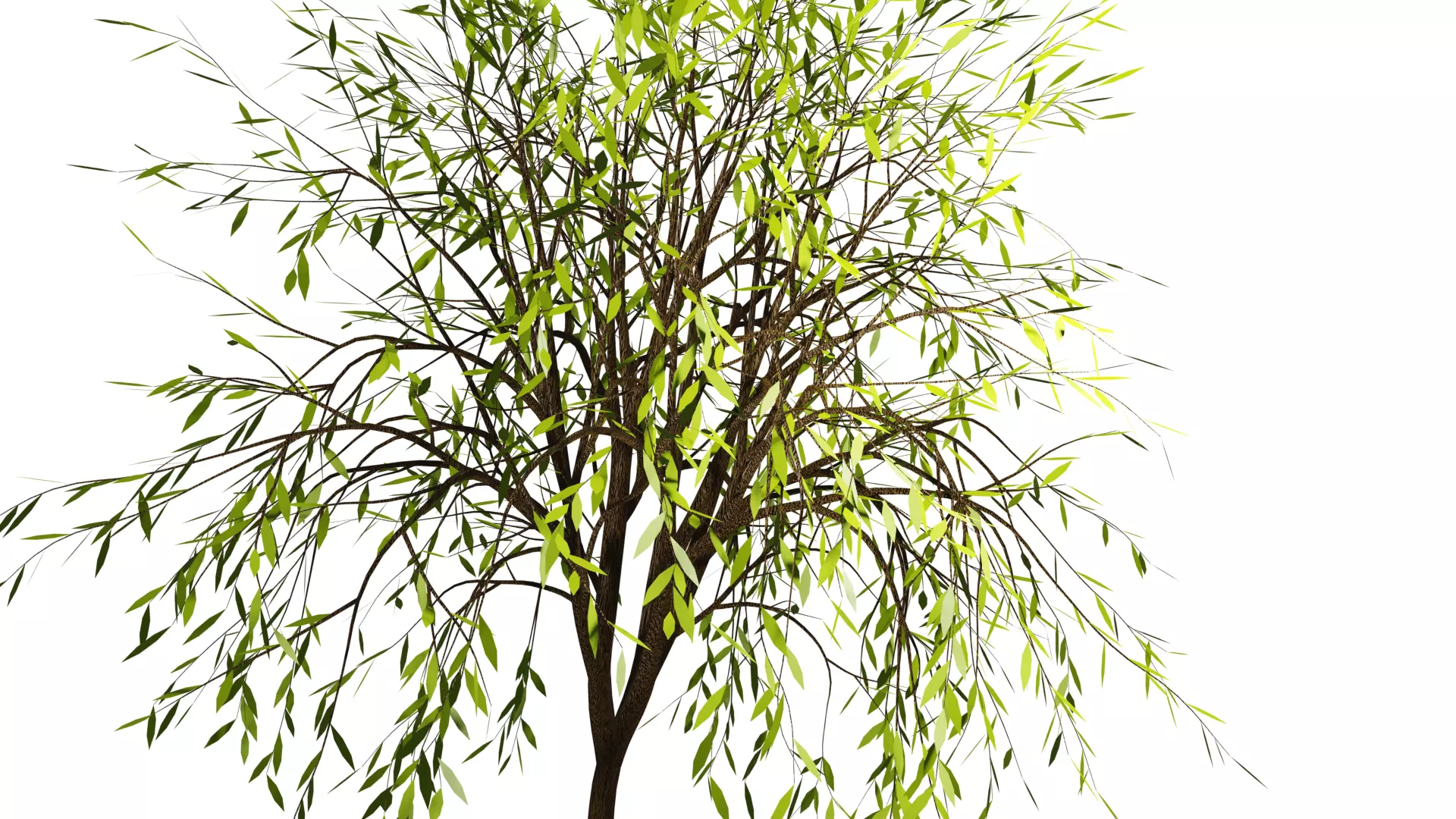 Spring or Summer Tree PBR low-poly game ready  Low-poly 3D model_0