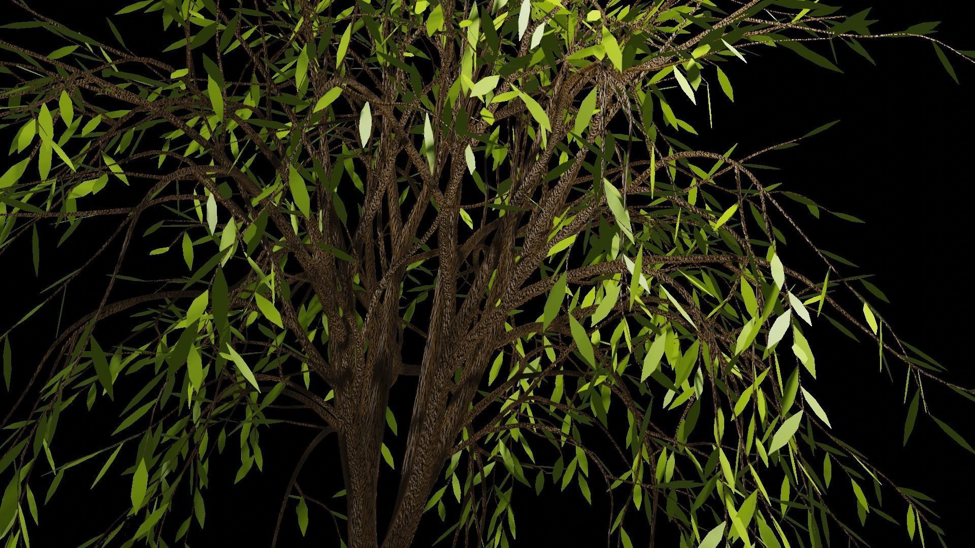 Spring or Summer Tree PBR low-poly game ready  Low-poly 3D model_7