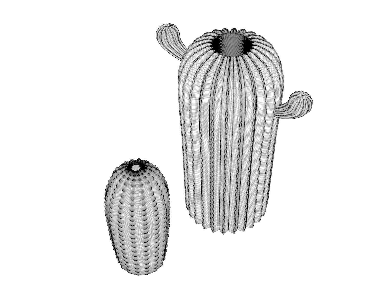 Cactus Sculptures  3D model_4