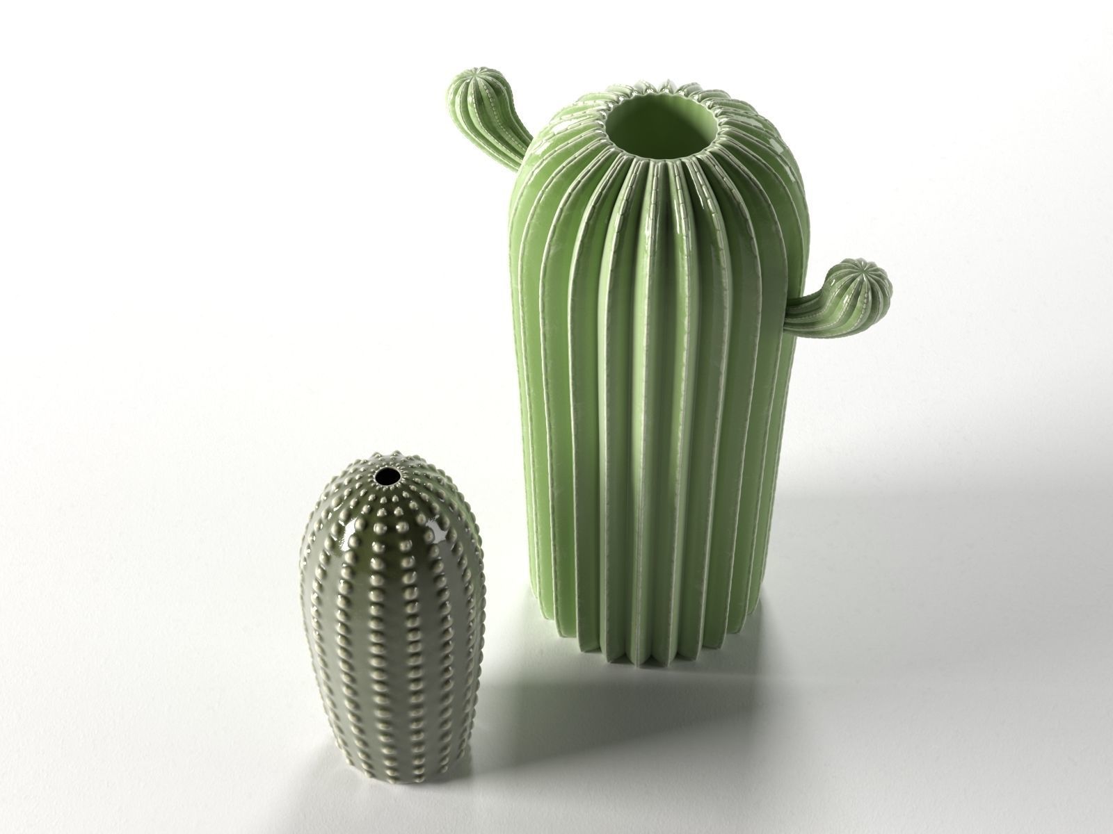 Cactus Sculptures  3D model_1
