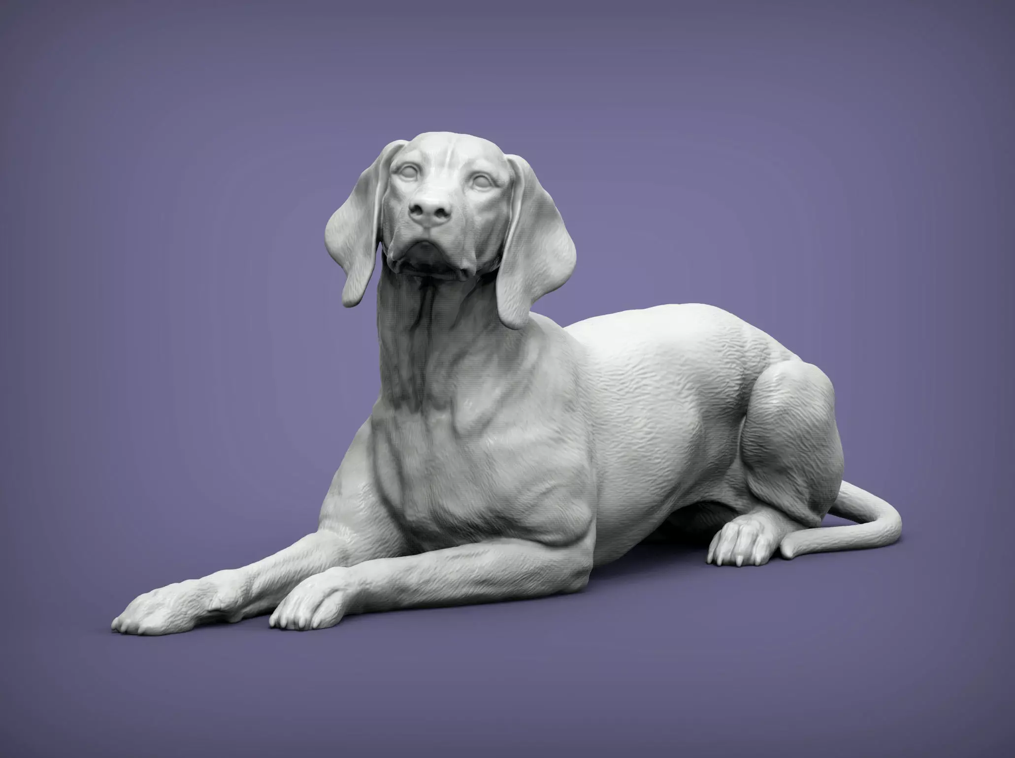 Hungarian vizsla Hungarian Pointing Dog 3D print model  3D print model_0