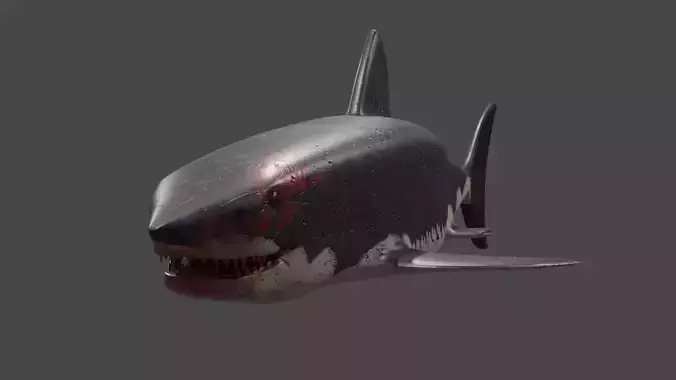 Great White Shark Model 