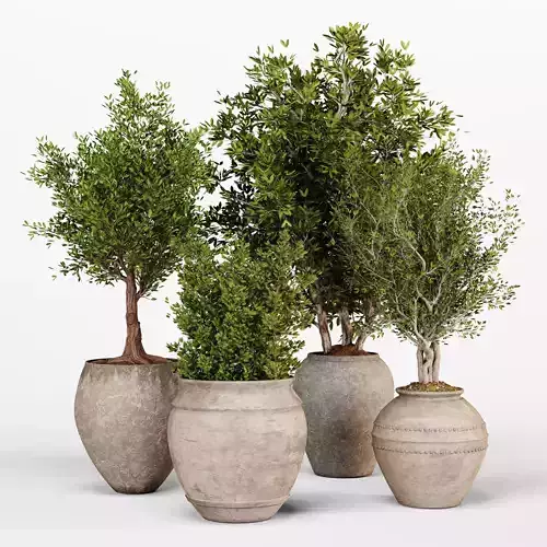 Indoor Plants set 01- Bush Collection