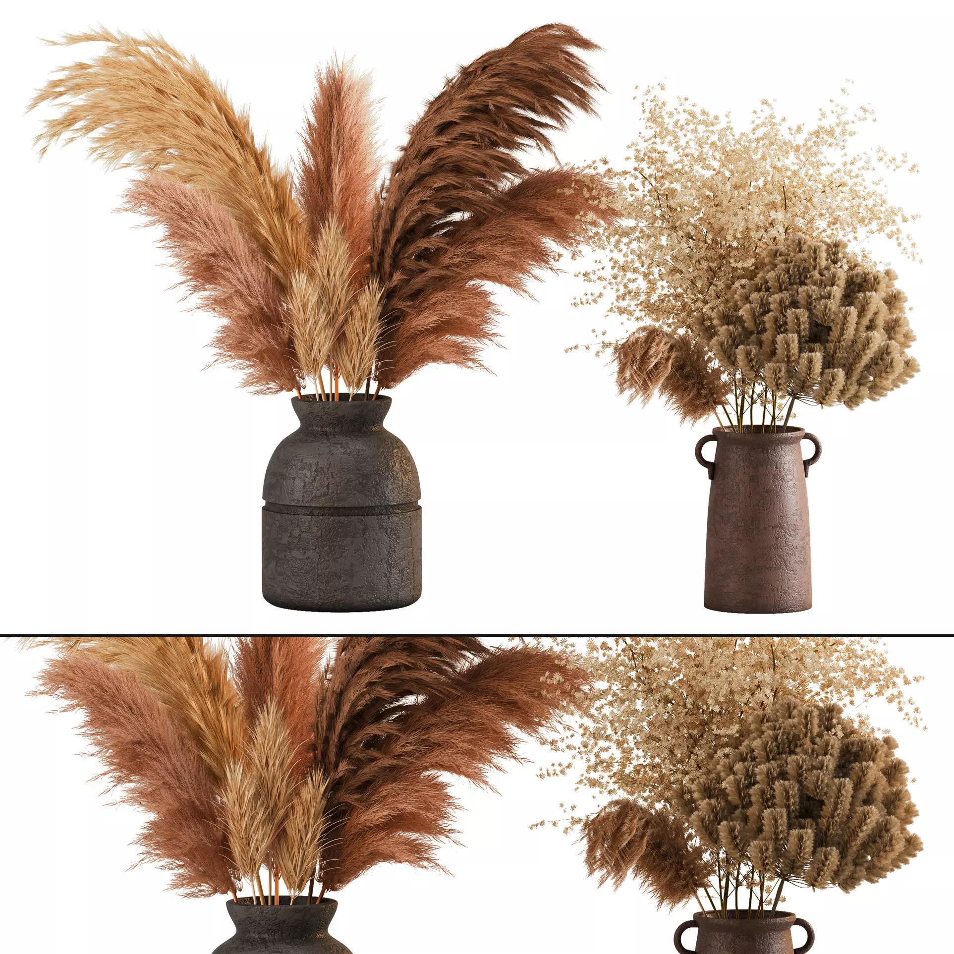 Indoor Plants set 02- Pampas Collection 3D model