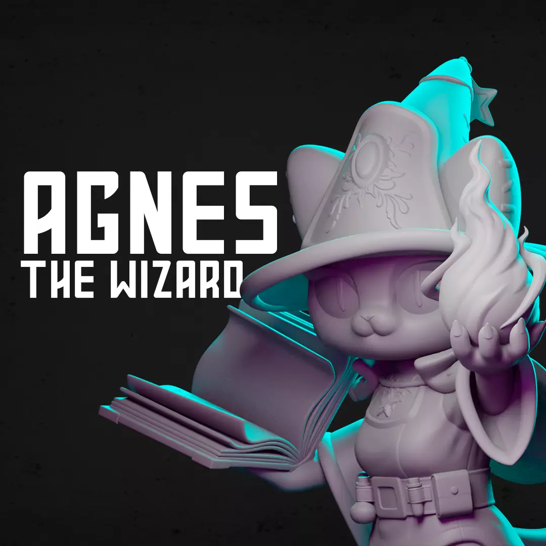 AGNES THE WIZARD FOR 3D PRINT 3D print model_0