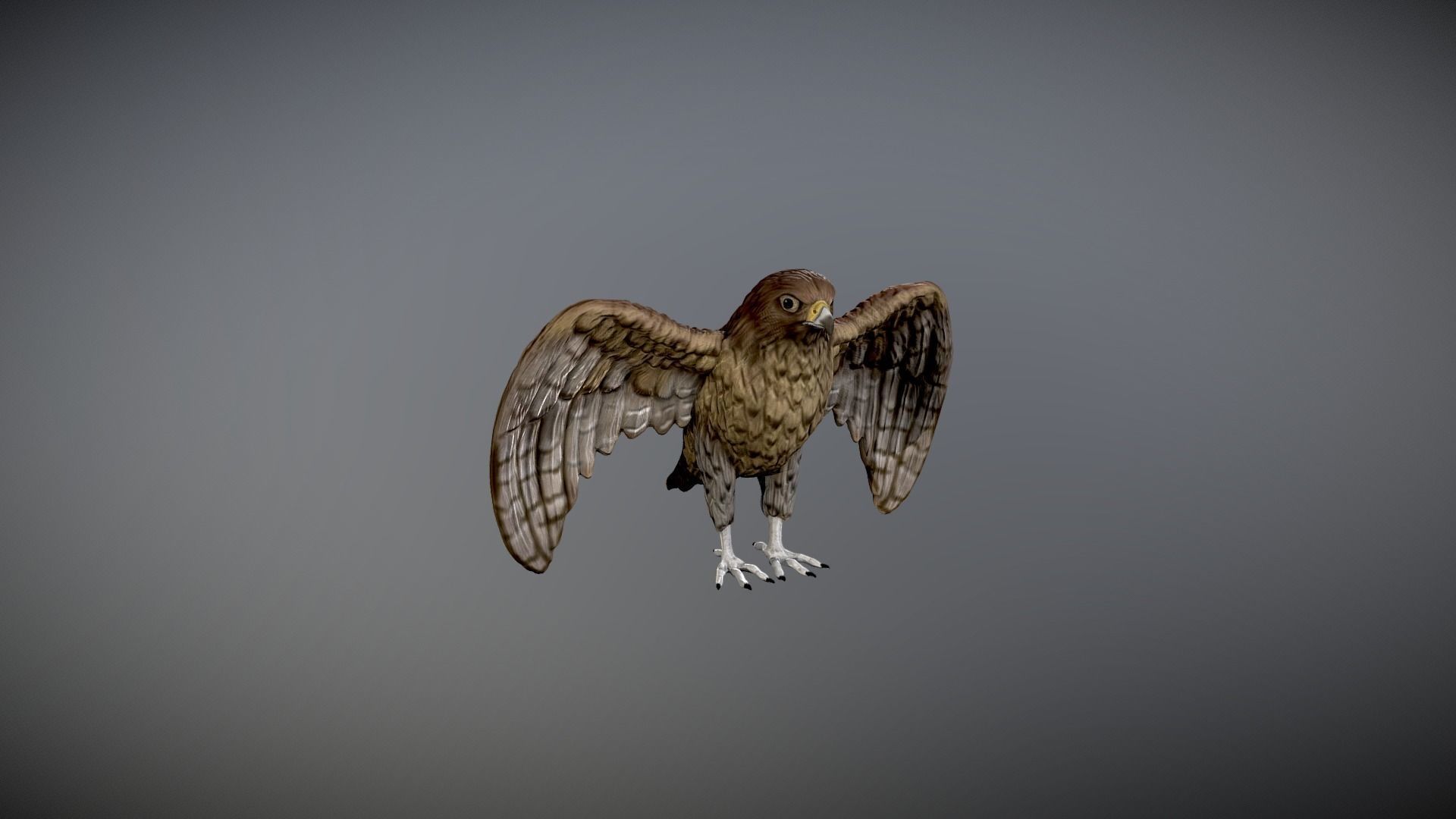 hawk 3d model for 3d print and paint  3D print model_5