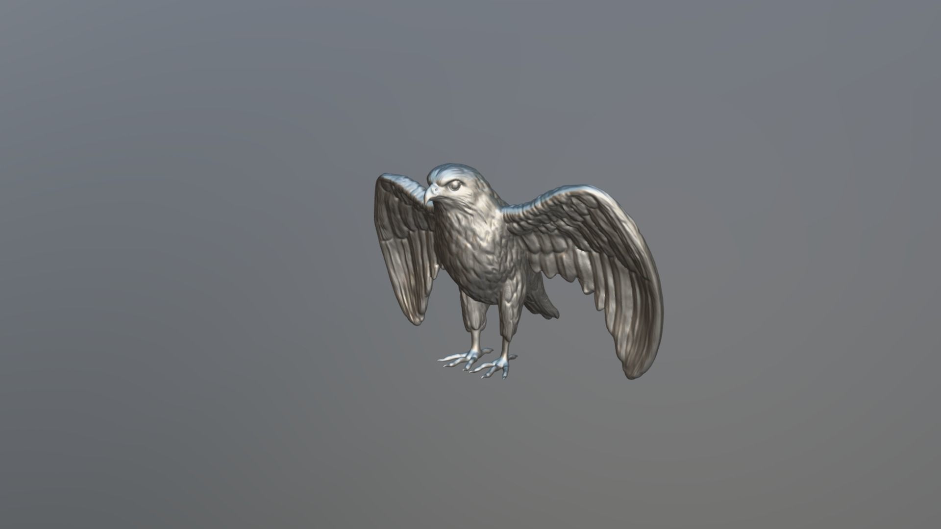 hawk 3d model for 3d print and paint  3D print model_11
