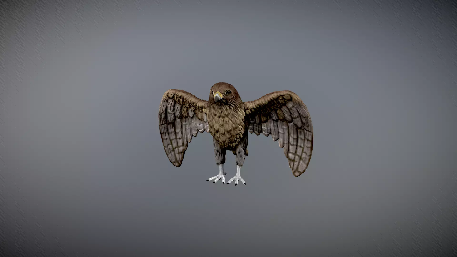 hawk 3d model for 3d print and paint  3D print model_0