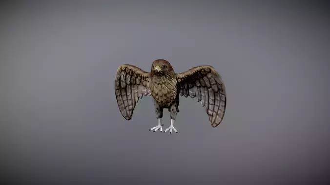 hawk 3d model for 3d print and paint 