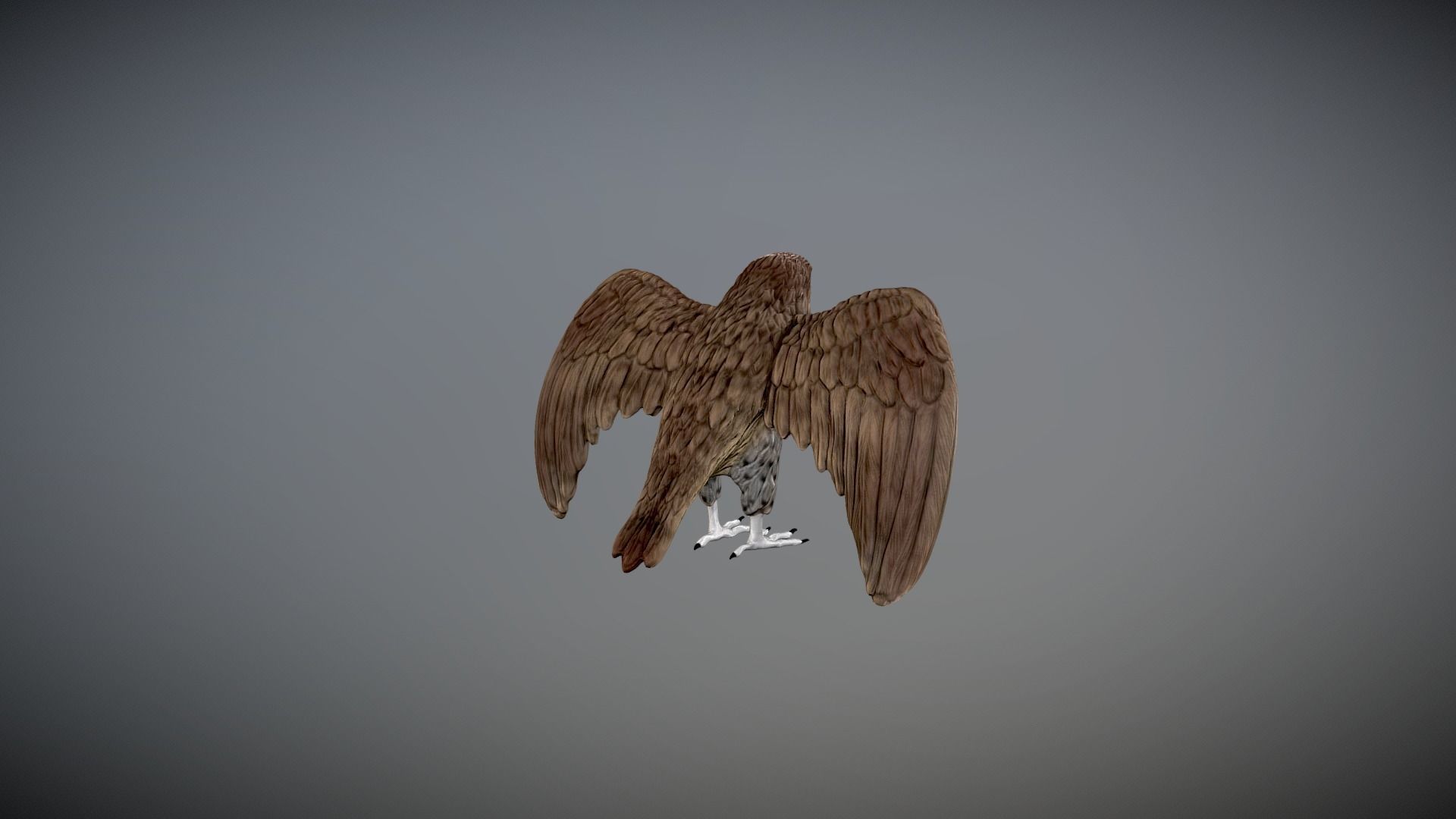 hawk 3d model for 3d print and paint  3D print model_6