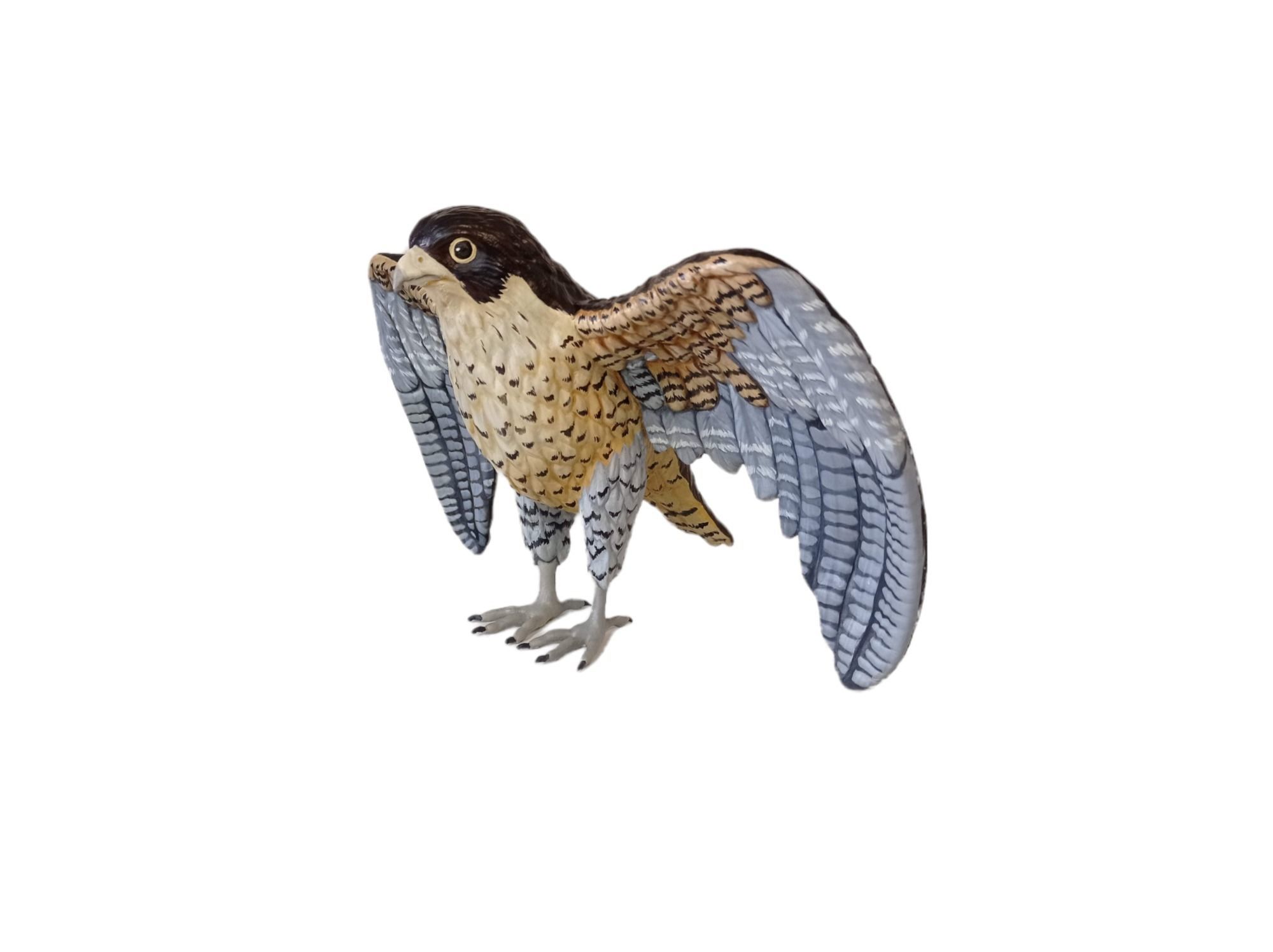 hawk 3d model for 3d print and paint  3D print model_9