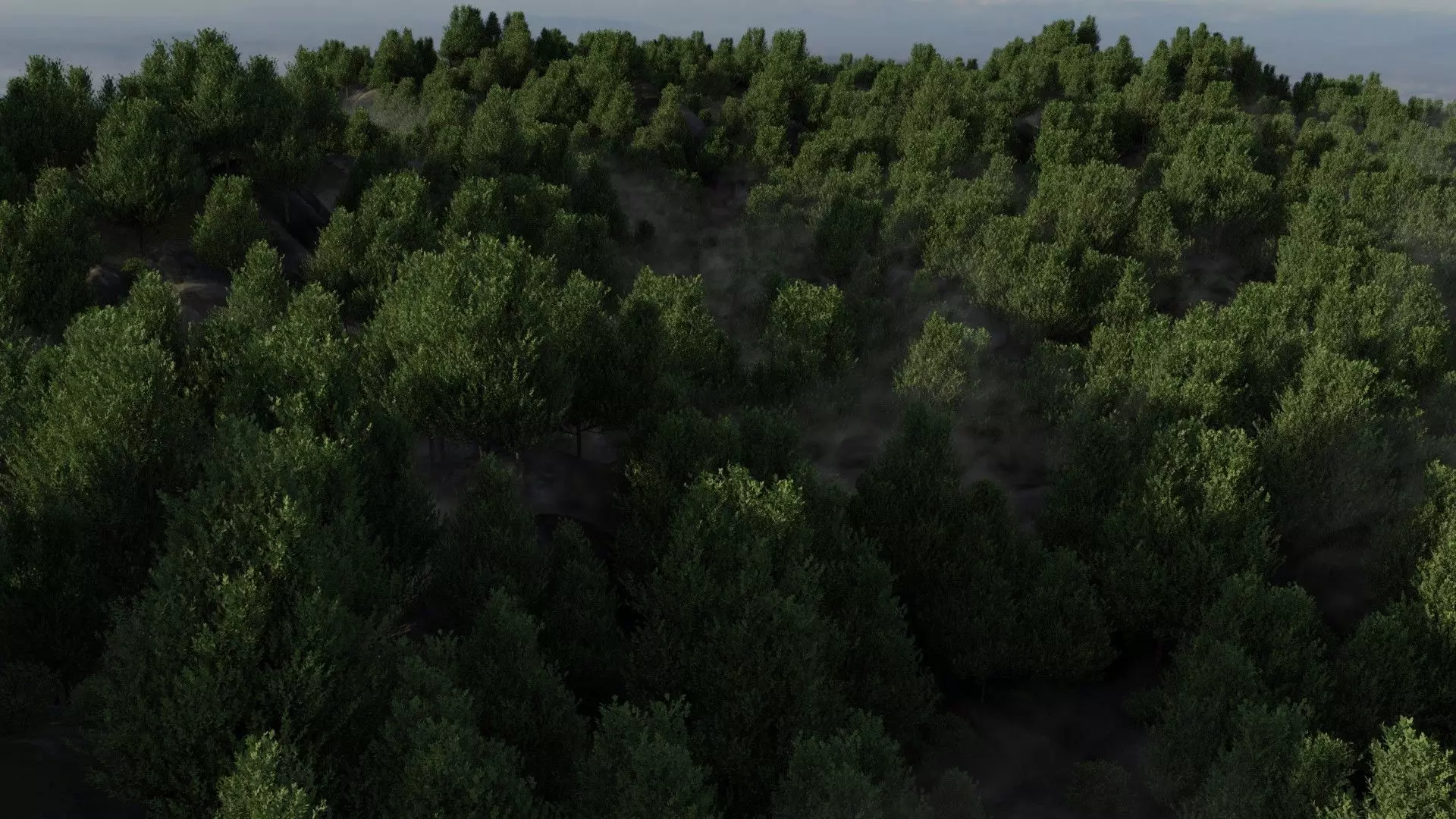 Forest Scene 3D model_0