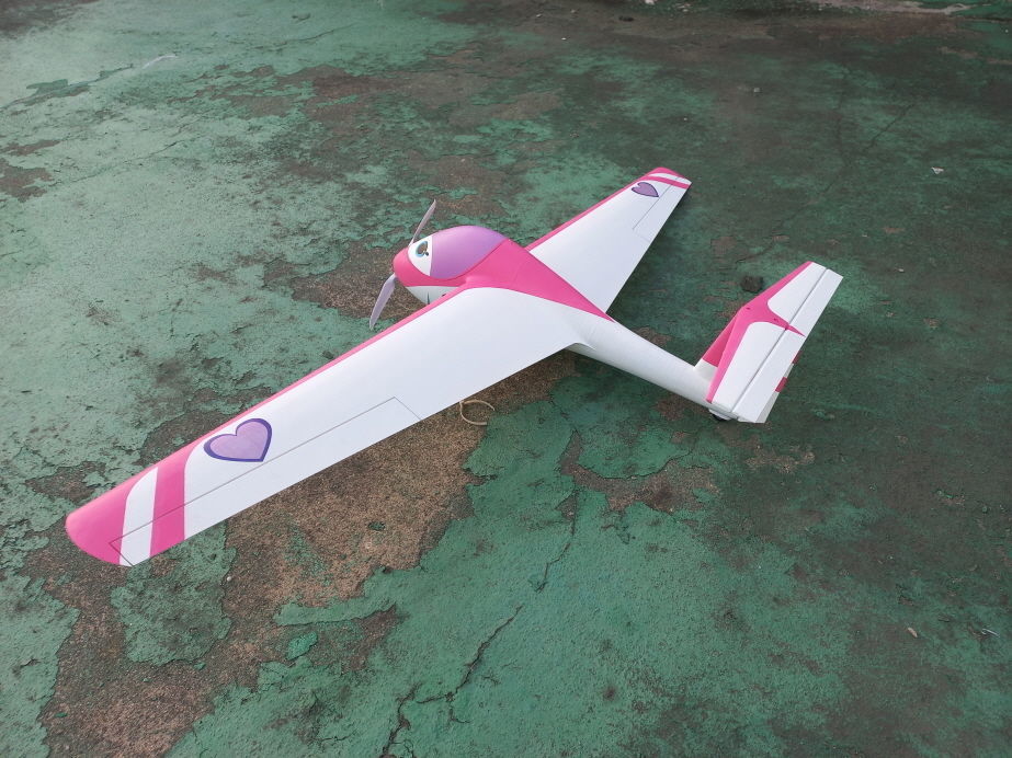 RC CARTOON SCALE MINI SAILPLANE WINGSPAN 1450MM 3D print model_2