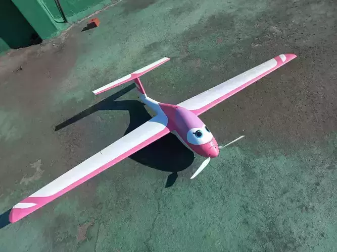RC CARTOON SCALE MINI SAILPLANE WINGSPAN 1450MM 3D print model