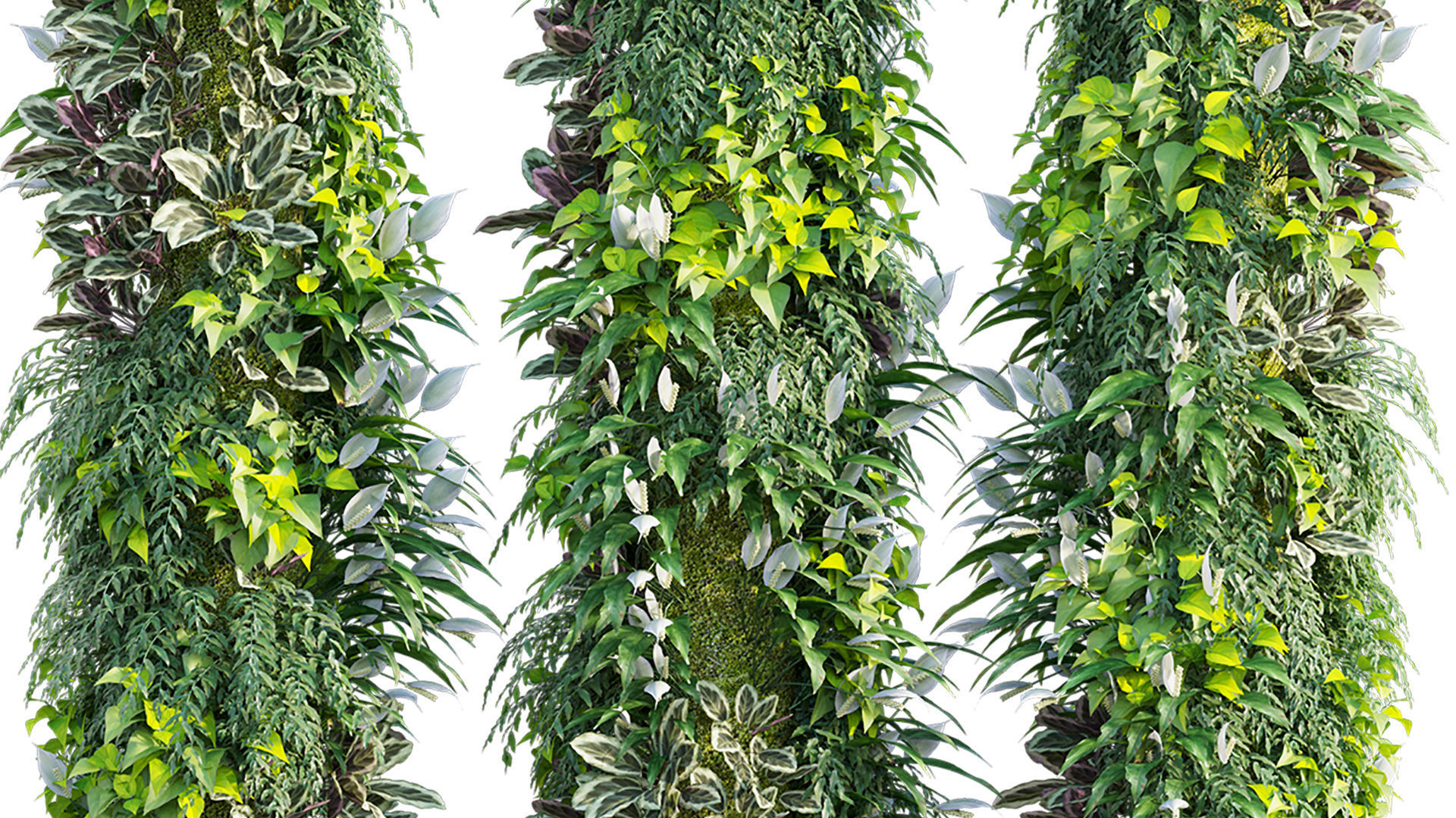 Vertical garden 32 3D model_2