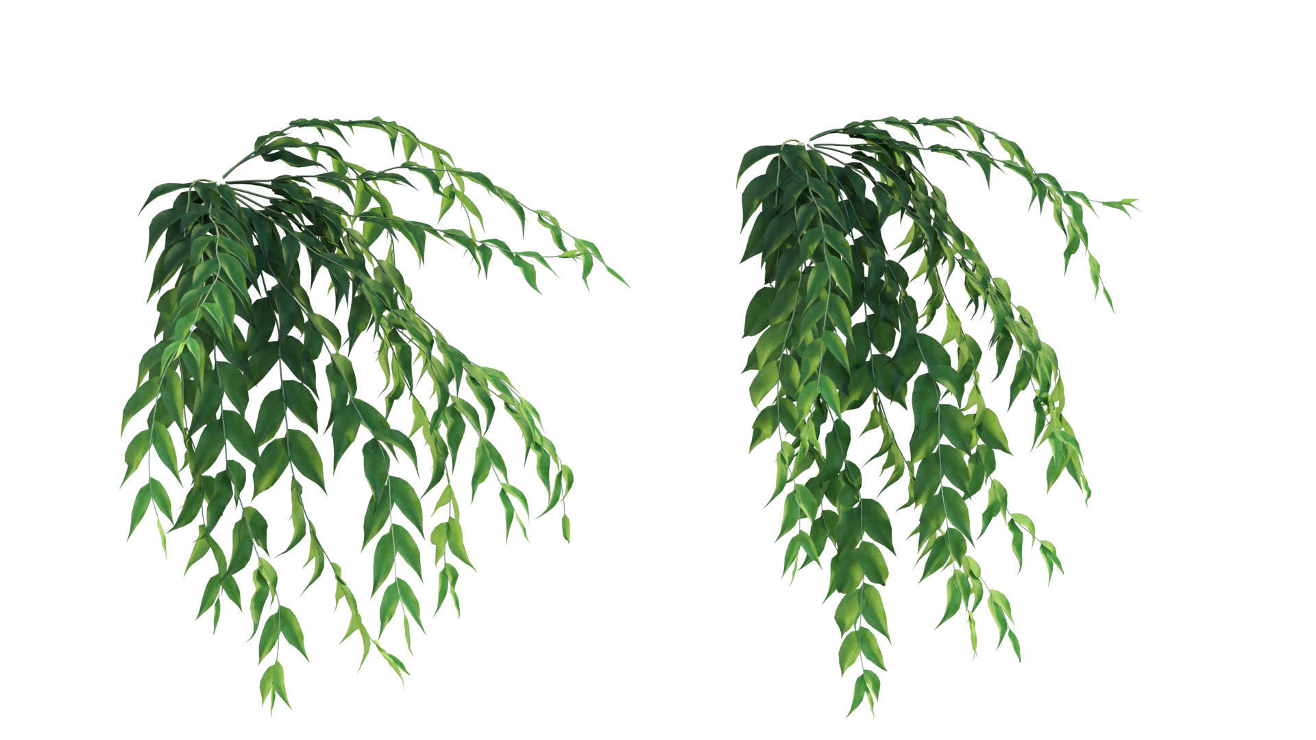 Vertical garden 32 3D model_5