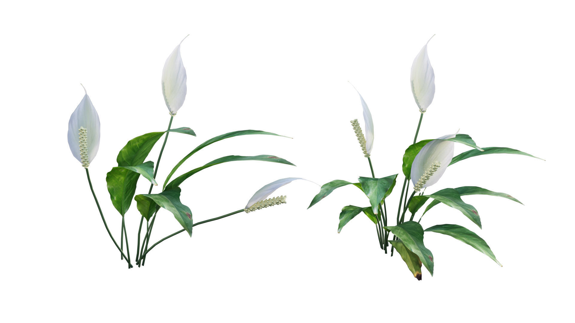 Vertical garden 32 3D model_7