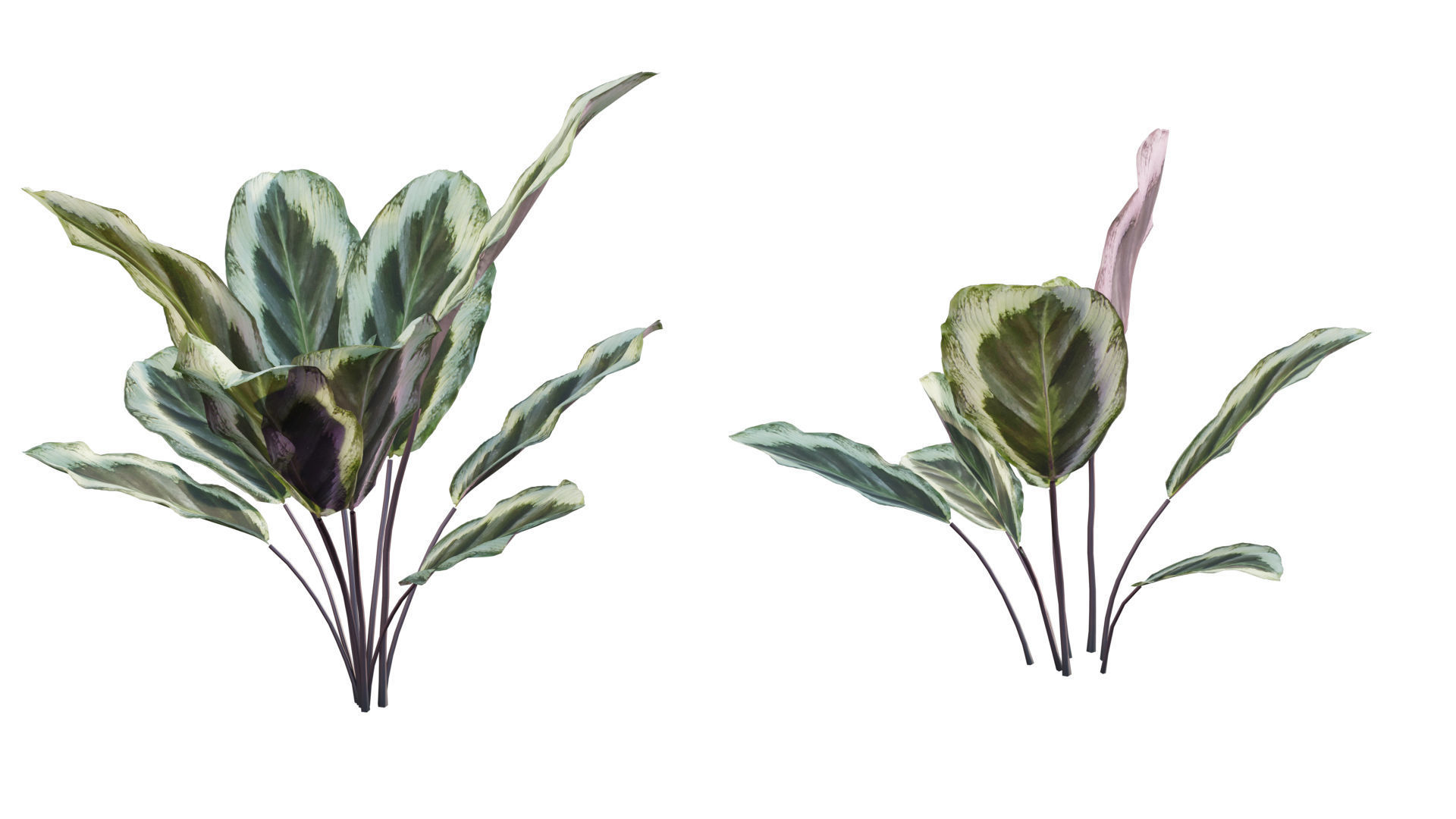 Vertical garden 32 3D model_1