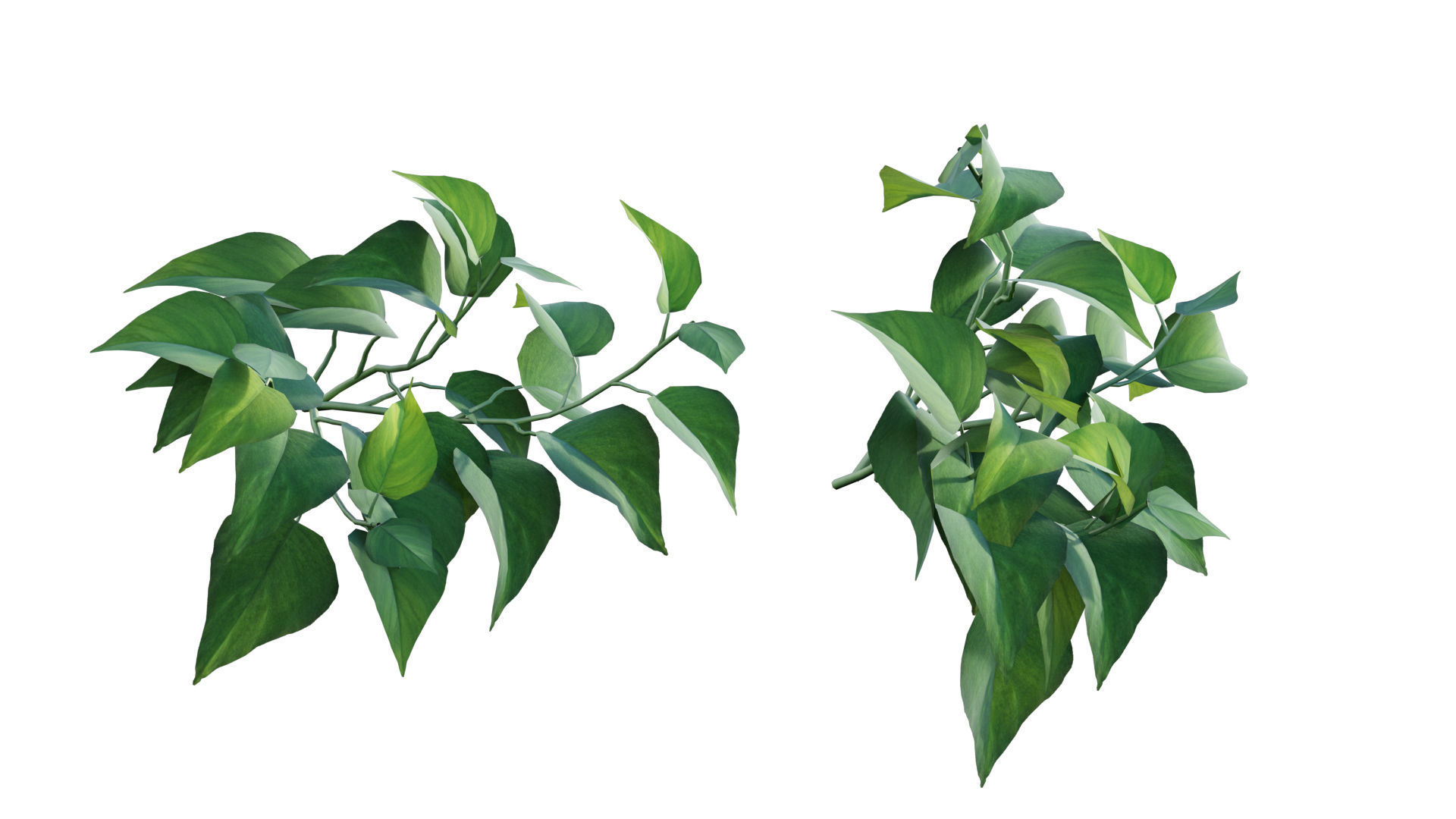 Vertical garden 30 3D model_4