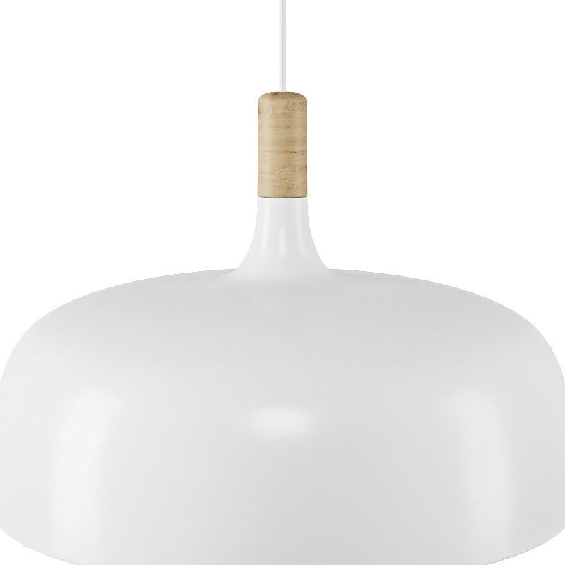 Northern Lighting Acorn Pendant Light 3D model_3