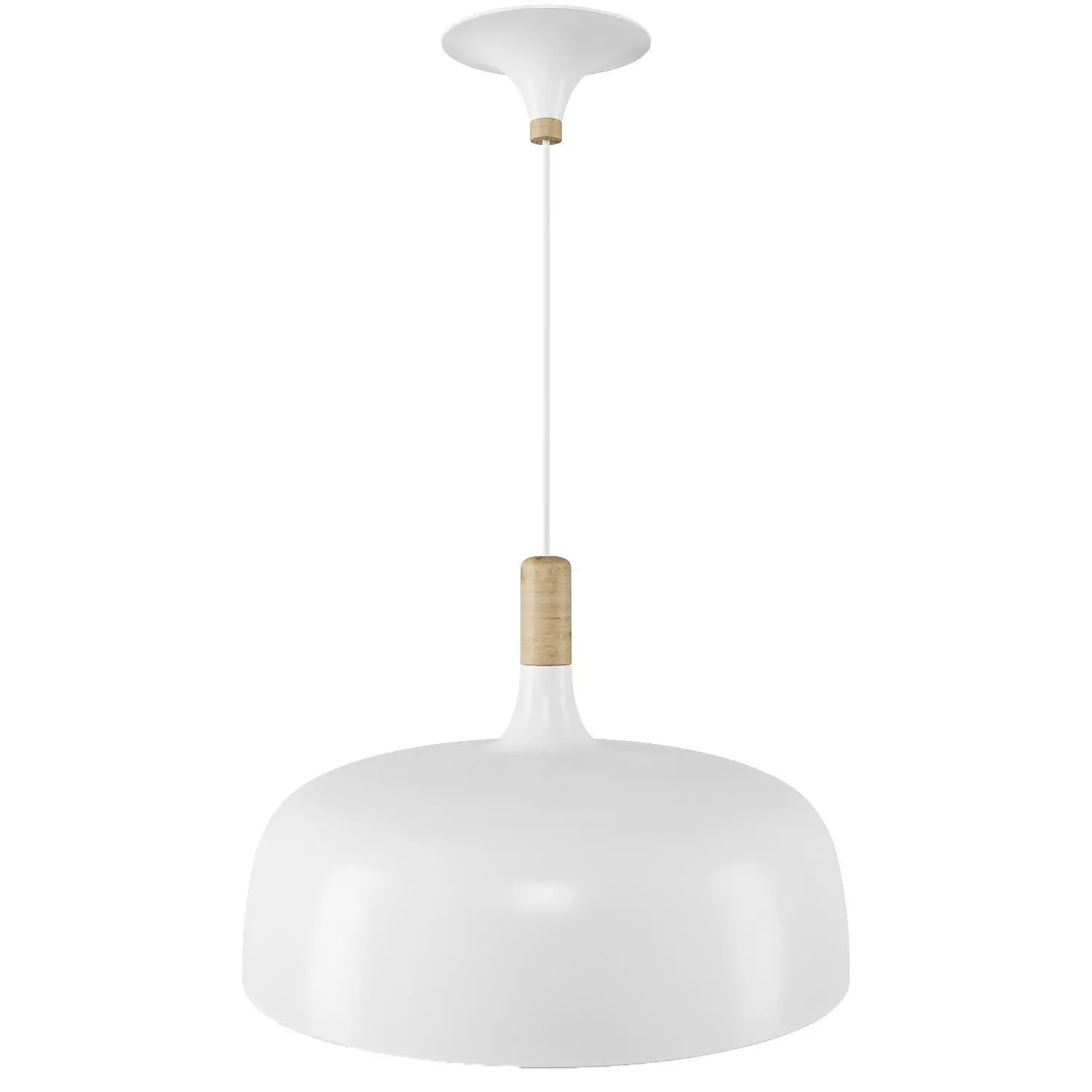 Northern Lighting Acorn Pendant Light 3D model_0