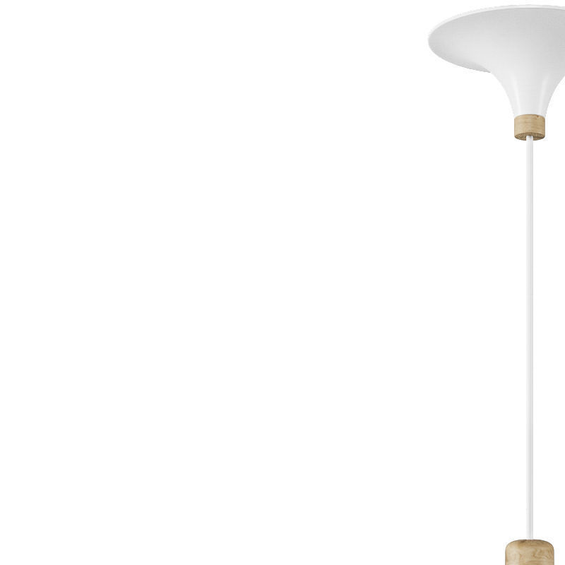 Northern Lighting Acorn Pendant Light 3D model_1