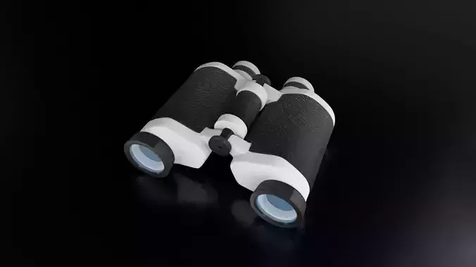 Binocular binoculars 3D model