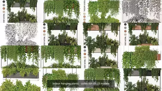 Indoor hanging plants - collection 01