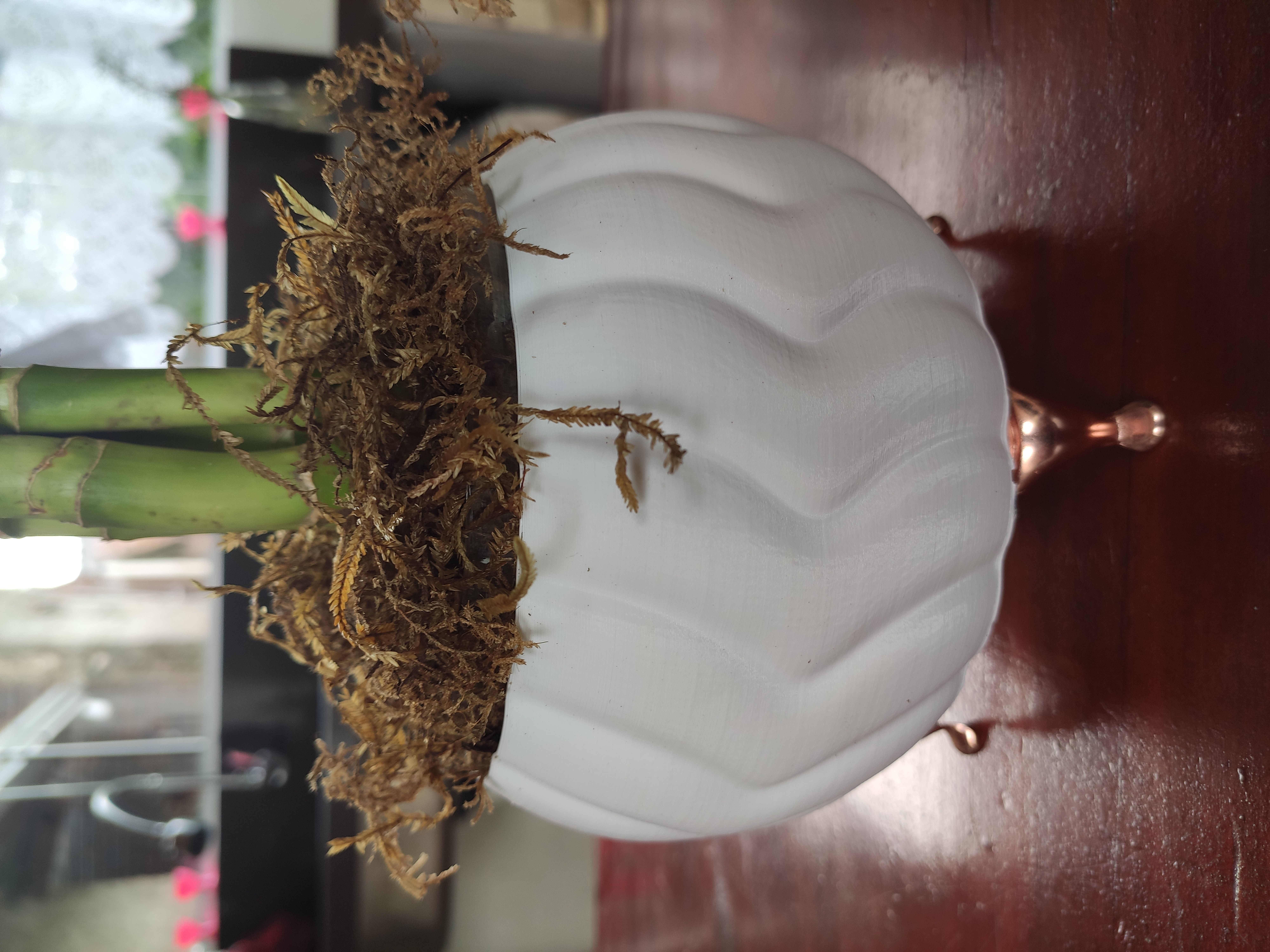 Modern Vase Collection - plant vase 3D print model_19