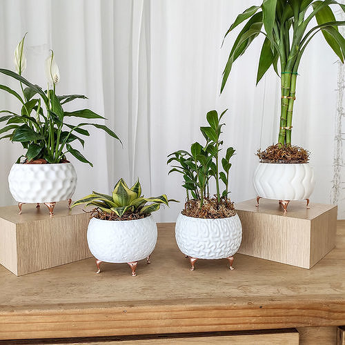 Modern Vase Collection - plant vase 3D print model